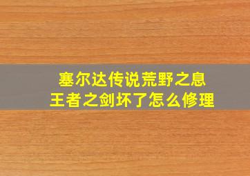 塞尔达传说荒野之息王者之剑坏了怎么修理