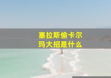 塞拉斯偷卡尔玛大招是什么