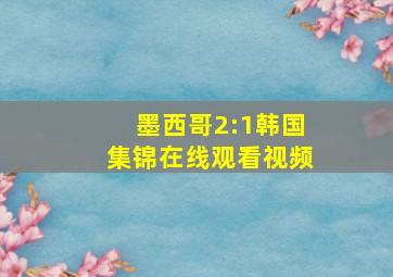 墨西哥2:1韩国集锦在线观看视频