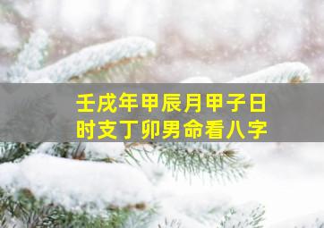 壬戌年甲辰月甲子日时支丁卯男命看八字