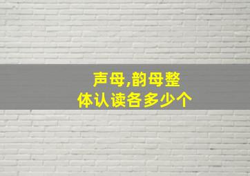 声母,韵母整体认读各多少个