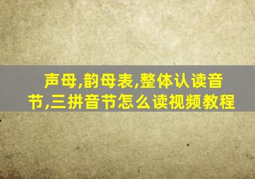 声母,韵母表,整体认读音节,三拼音节怎么读视频教程