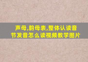 声母,韵母表,整体认读音节发音怎么读视频教学图片