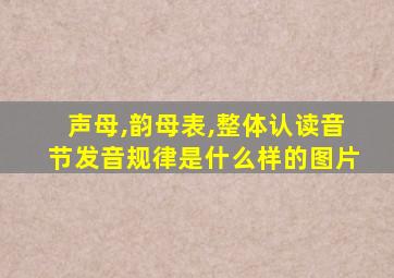 声母,韵母表,整体认读音节发音规律是什么样的图片