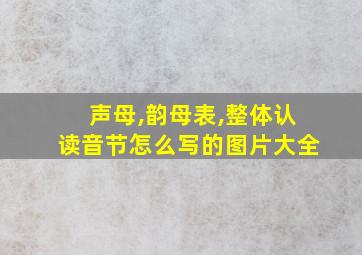 声母,韵母表,整体认读音节怎么写的图片大全