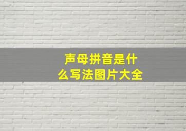 声母拼音是什么写法图片大全