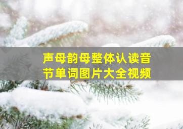 声母韵母整体认读音节单词图片大全视频