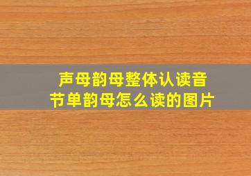 声母韵母整体认读音节单韵母怎么读的图片