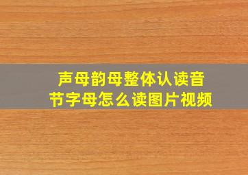 声母韵母整体认读音节字母怎么读图片视频