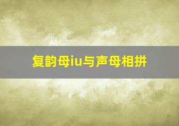 复韵母iu与声母相拼