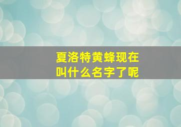 夏洛特黄蜂现在叫什么名字了呢