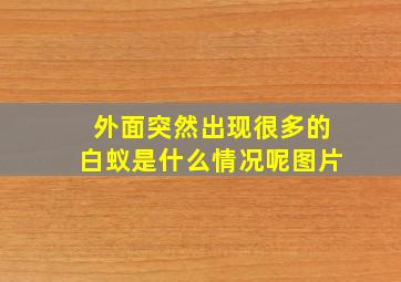 外面突然出现很多的白蚁是什么情况呢图片