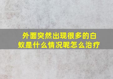 外面突然出现很多的白蚁是什么情况呢怎么治疗