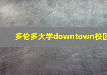 多伦多大学downtown校区