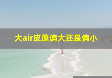 大air皮蓬偏大还是偏小