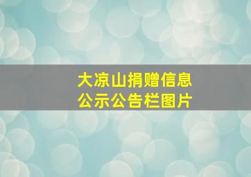 大凉山捐赠信息公示公告栏图片