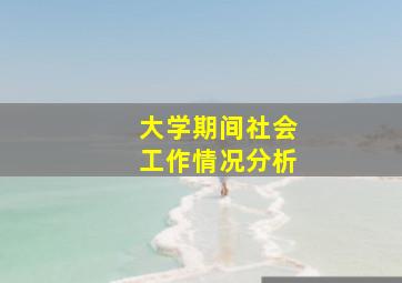 大学期间社会工作情况分析