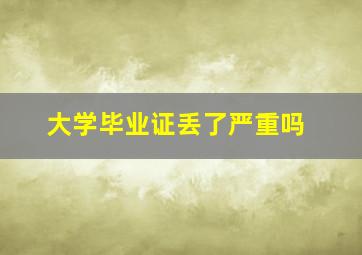 大学毕业证丢了严重吗