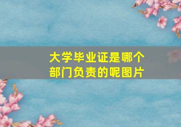 大学毕业证是哪个部门负责的呢图片