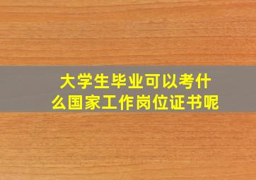 大学生毕业可以考什么国家工作岗位证书呢