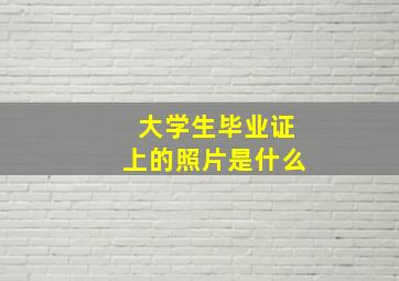 大学生毕业证上的照片是什么