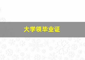 大学领毕业证