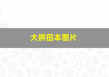 大拼田本图片