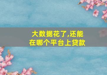 大数据花了,还能在哪个平台上贷款