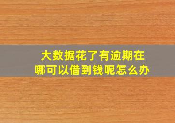 大数据花了有逾期在哪可以借到钱呢怎么办