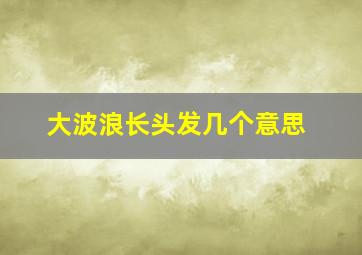 大波浪长头发几个意思