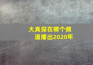 大真探在哪个频道播出2020年