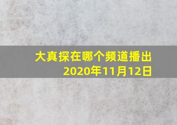 大真探在哪个频道播出2020年11月12日