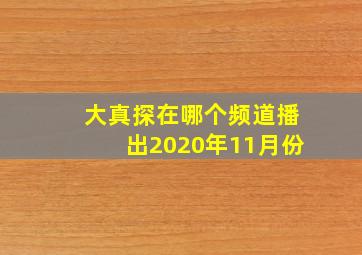 大真探在哪个频道播出2020年11月份