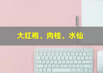 大红袍、肉桂、水仙