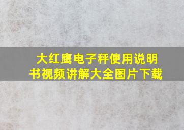 大红鹰电子秤使用说明书视频讲解大全图片下载