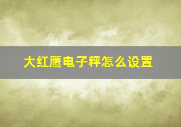 大红鹰电子秤怎么设置