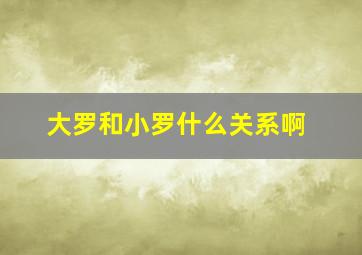 大罗和小罗什么关系啊