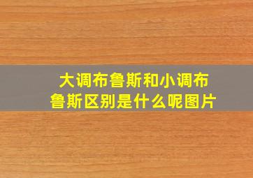 大调布鲁斯和小调布鲁斯区别是什么呢图片