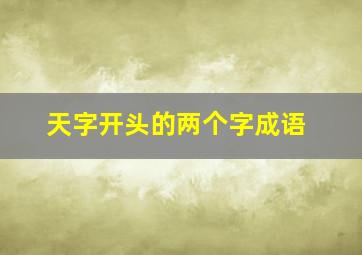 天字开头的两个字成语