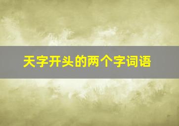 天字开头的两个字词语