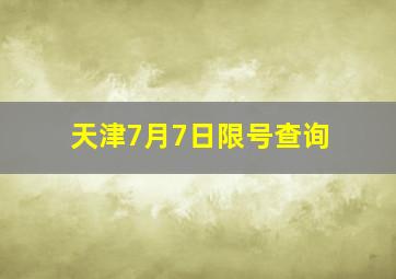 天津7月7日限号查询