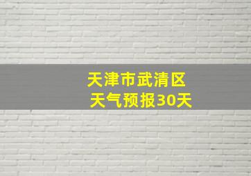 天津市武清区天气预报30天