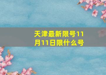 天津最新限号11月11日限什么号