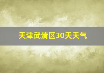 天津武清区30天天气