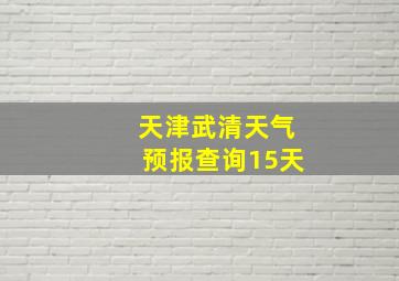 天津武清天气预报查询15天