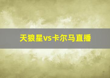 天狼星vs卡尔马直播