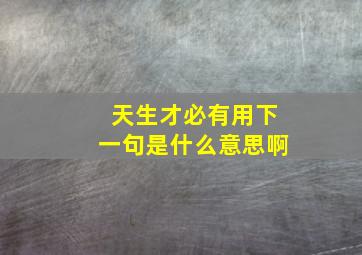 天生才必有用下一句是什么意思啊