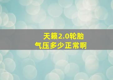 天籁2.0轮胎气压多少正常啊