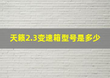 天籁2.3变速箱型号是多少