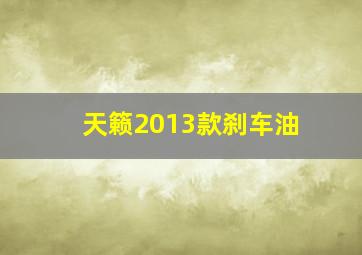 天籁2013款刹车油